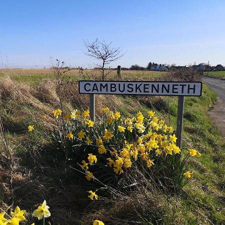 The Cambus Flat Cambuskenneth Stirling Lejlighed Eksteriør billede